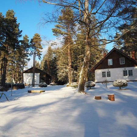 Hotel Lojzovy Paseky Frymburk Zewnętrze zdjęcie